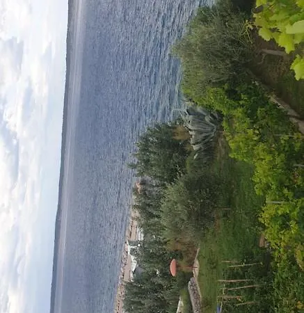 Apartman Viktorija *